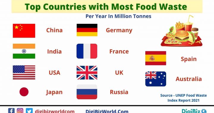 Which Country Waste the Most Food in tonnes