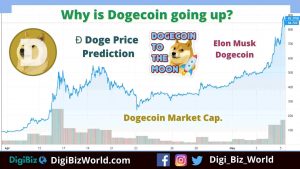 What is Dogecoin? Why Doge is going Up?