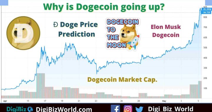 What is Dogecoin? Why Doge is going Up?
