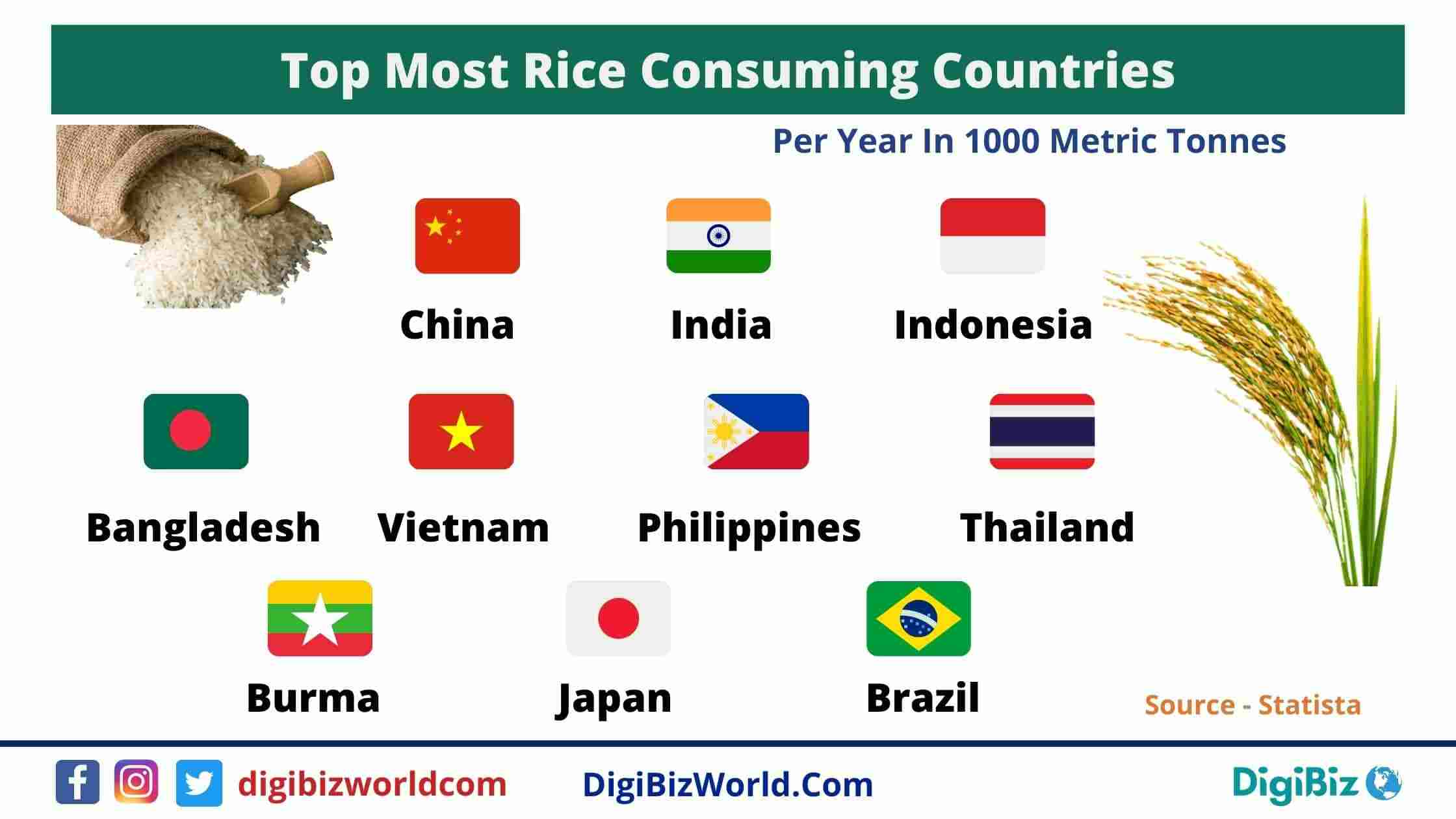 Kræft Hvile Hr Top Most Rice Consuming Countries Worldwide 2021